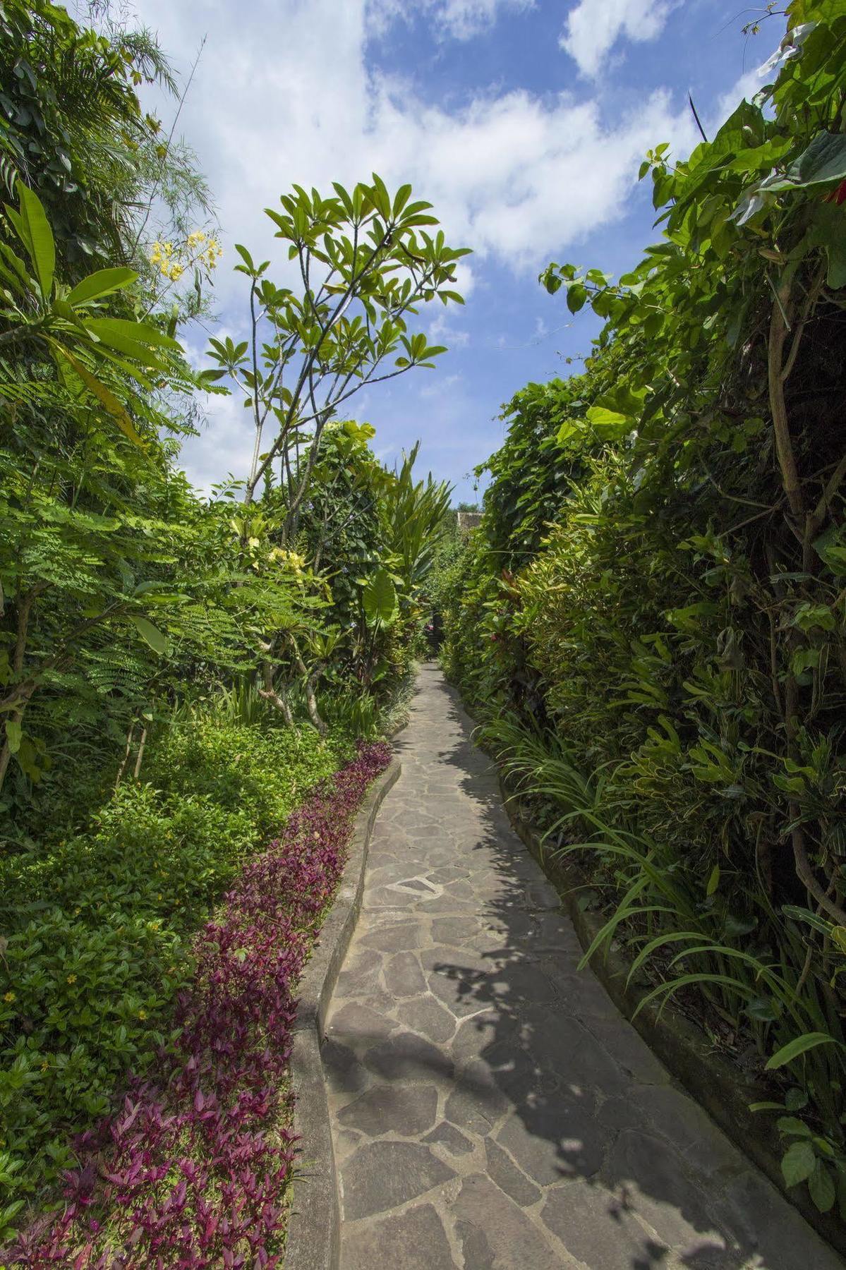 Ladera Villa Ubud Екстер'єр фото